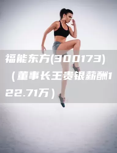 福能东方(300173)（董事长王贵银薪酬122.71万）(图1)