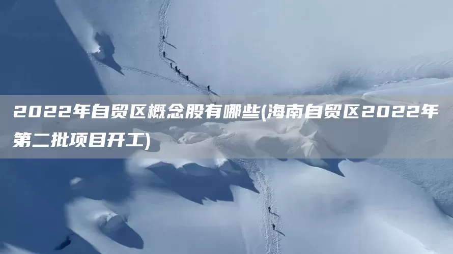 2022年自贸区概念股有哪些(海南自贸区2022年第二批项目开工)(图1)