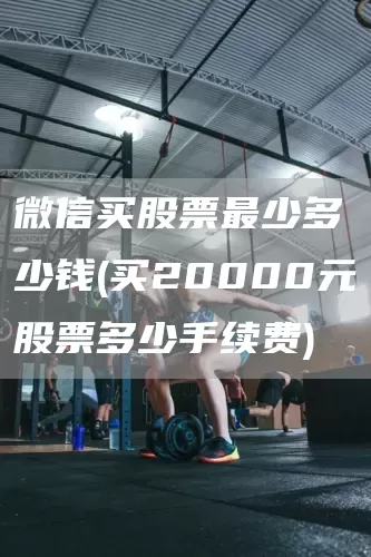 微信买股票最少多少钱(买20000元股票多少手续费)(图1)