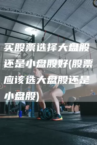 买股票选择大盘股还是小盘股好(股票应该选大盘股还是小盘股)(图1)