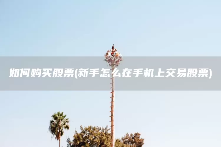 如何购买股票(新手怎么在手机上交易股票)(图1)