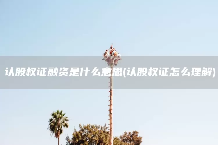 认股权证融资是什么意思(认股权证怎么理解)(图1)