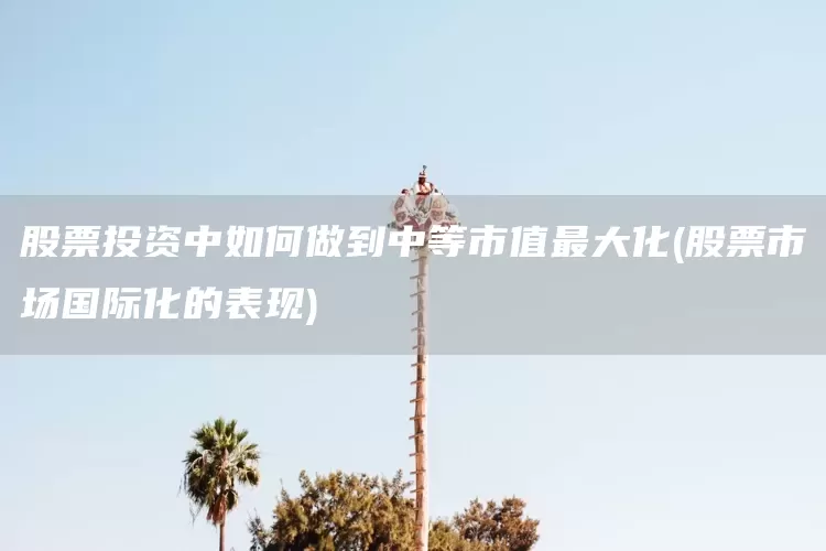 股票投资中如何做到中等市值最大化(股票市场国际化的表现)(图1)