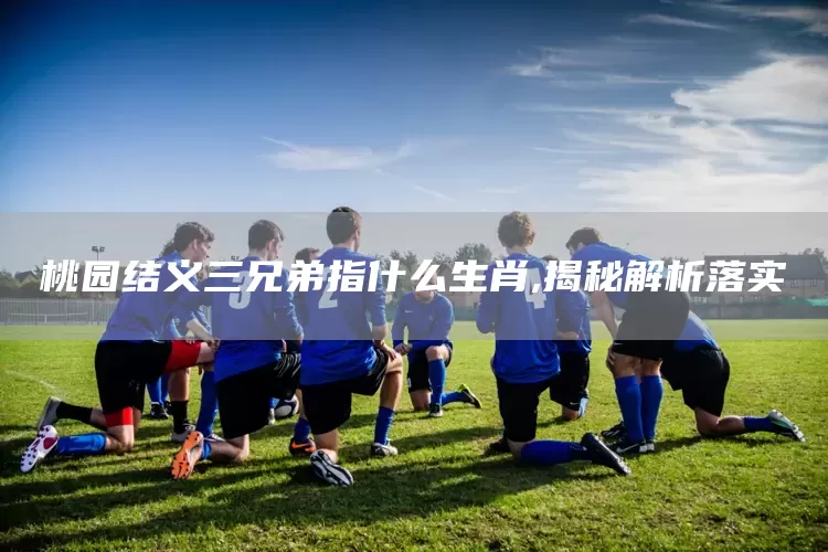 桃园结义三兄弟指什么生肖,揭秘解析落实(图1)