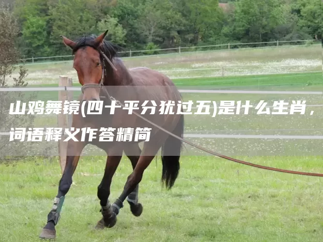 山鸡舞镜(四十平分犹过五)是什么生肖,词语释义作答精简(图1) 山鸡舞镜(四十平分犹过五)是什么生肖,词语释义作答精简(图1)