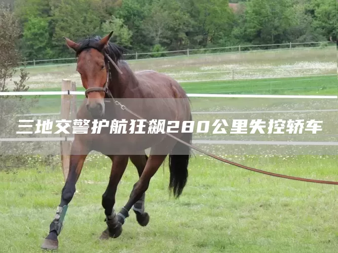 三地交警护航狂飙280公里失控轿车(图1)