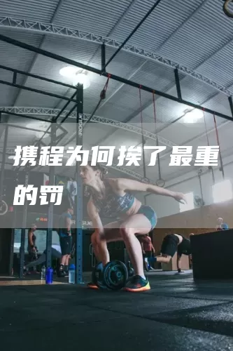 携程为何挨了最重的罚(图1)